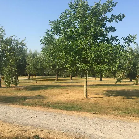 Appartement Am Park *