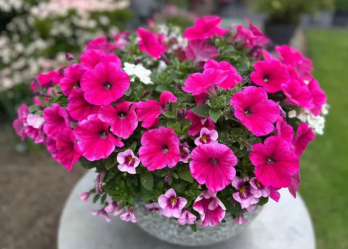 Διαμέρισμα Am Park Tönisvorst