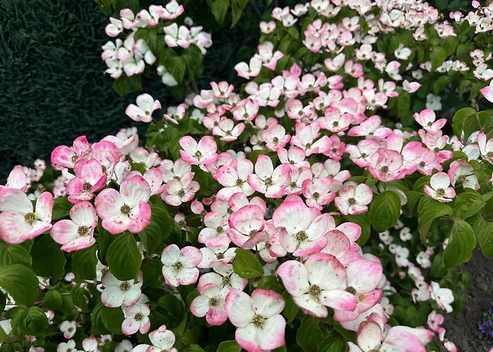 Διαμέρισμα Am Park