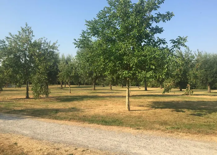 Διαμέρισμα Am Park *